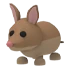 Bandicoot