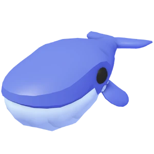 Blue Whale