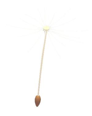 Dandelion Propeller