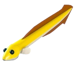 Eel