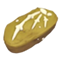 Elasmosaurus Fossil