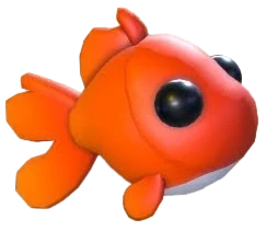 Goldfish