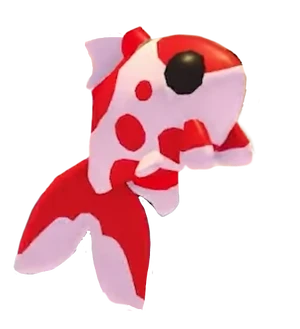 Koi Carp