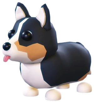 Royal Corgi