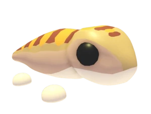 Sandfish