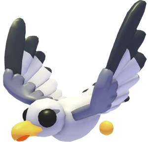 Seagull