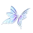 Sky Wings